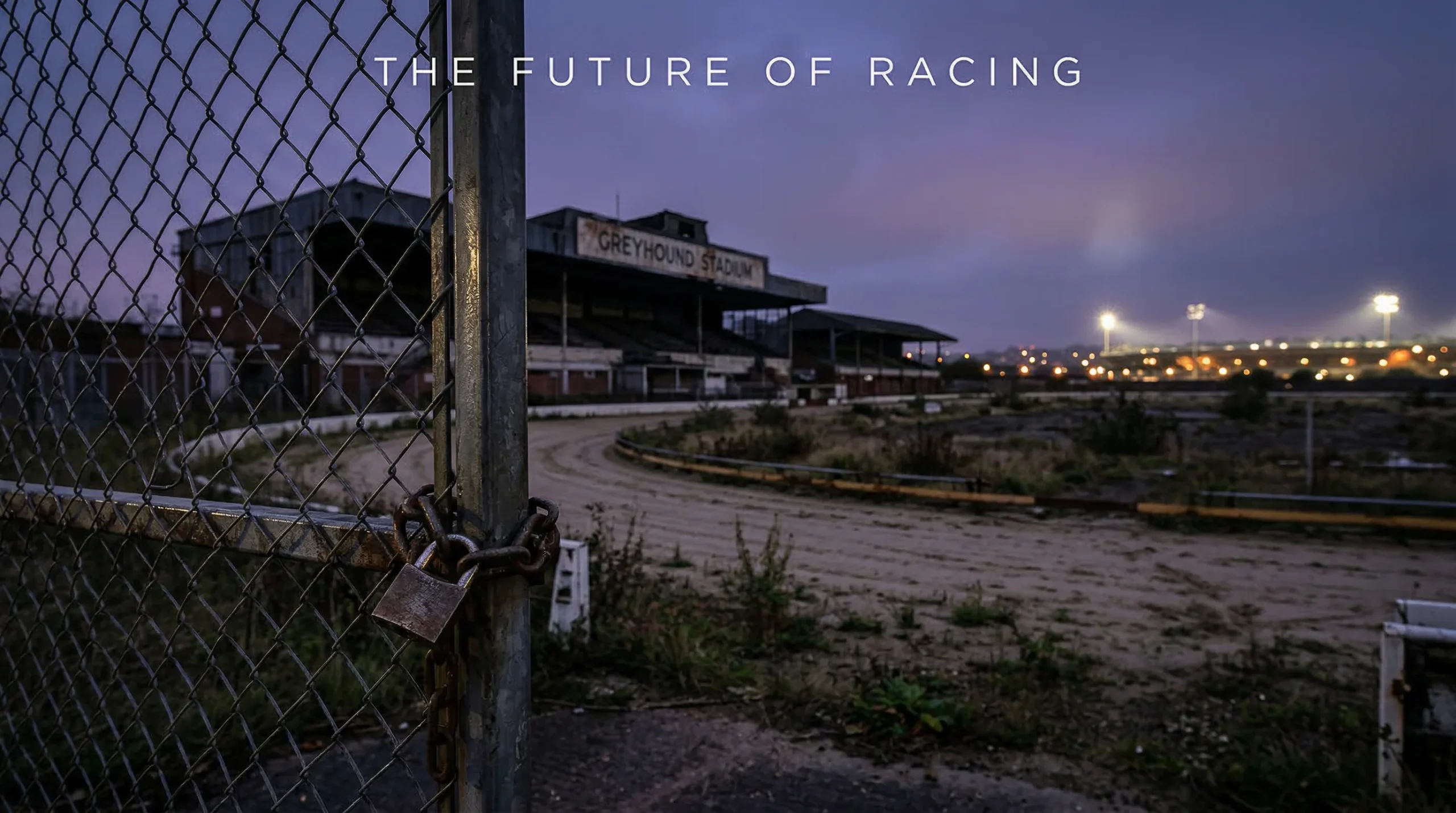 Future of UK greyhound racing closures bans and survival